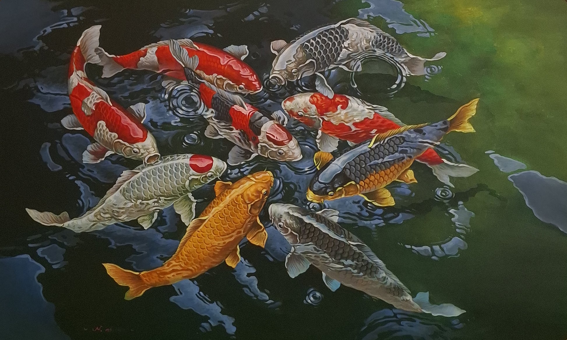Koi fish swimming in water with reflections