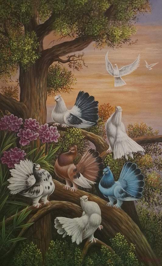 The Beauty of Pigeon